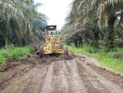Pengerasan Jalan Sukamaju Capai 30 Persen, TMMD Kodim O320 Dumai dinilai Sukses