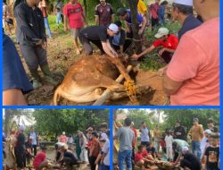 SEMANGAT BERKURBAN, SEMANGAT BERBAGI DI HARI RAYA IDUL ADHA WARGA  RT. 006/017 PURI BOJONG LESTARI 2