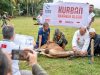 Lembaga Kemanusiaan Turkiye, Hayrat Yardım Salurkan Ratusan Ekor Sapi di Indonesia