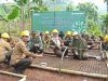 Perhutani Gelar Tabur Benih Serentak Jati Unggul Asal KBK
