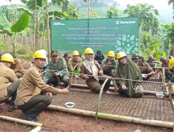 Perhutani Gelar Tabur Benih Serentak Jati Unggul Asal KBK