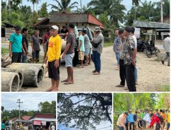 Anggota DPRD Arminson Perbaiki Jalan Usaha Tani, Warga Antusias Sambut Langkah Nyata