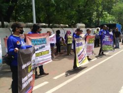 Peternak Ayam Desak Pemerintah Kendalikan Harga Pakan dan Jagung