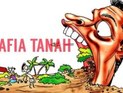 Terungkap: Transaksi Janggal di Lahan PT Timah, Siapa di Balik Layar?