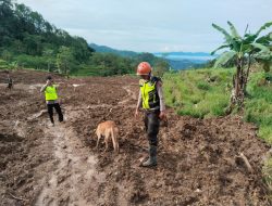 Unit K9 Polda Jateng Berhasil Deteksi Tiga Titik Jejak Korban di Lokasi Bencana Pandanarum