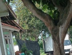 Terkesan Kebal Hukum Penimbunan BBM Jenis Solar Subsidi Di Serang Tetap Beroperasi