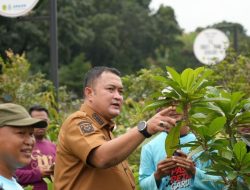 Bupati Bogor Dorong Penguatan Petani Garuda dan Ketahanan Pangan Daerah