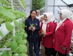 Perkuat Program Ketahanan Pangan, TP PKK Jakarta Timur Kunjungi Ewindo Panah Merah