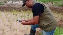 Anggaran Rp 4,7 Triliun Dipertanyakan, Mentan Diminta Buka Data