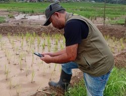 Anggaran Rp 4,7 Triliun Dipertanyakan, Mentan Diminta Buka Data