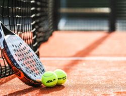 Apresiasi Pemprov DKI Sikat Padel Ilegal