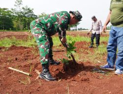 Kodim 0508/Depok Gelar Penanaman Pohon di Kampus UIII, Wujud Kepedulian Lingkungan TMMD