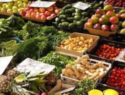 Pengamat: Feri Amsari Mafia Pangan Indonesia?