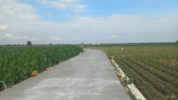 Betonisasi Jalan Desa Godo Rampung 100 Persen, Harapan Baru bagi Petani dan Warga