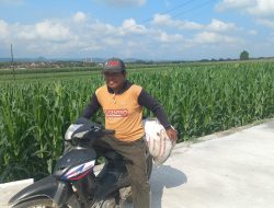 Mbah Sukardi Rasakan Manfaat Jalan Baru TMMD untuk Aktivitas Bertani