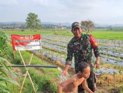 Di Tengah Sawah Desa Godo, Sertu Arifin Hadirkan Sumber Air untuk Petani