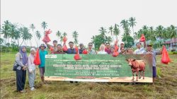 PT International Green Industrial Park berbagi berkah kurban dengan Masyarakat Desa Sambalagi dan Desa Were’ea