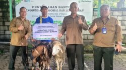 Perhutani KPH Bandung Utara Salurkan Hewan Kurban kepada Penyadap Getah Pinus melalui Program TJSL