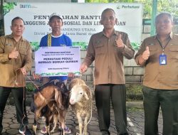 Perhutani KPH Bandung Utara Salurkan Hewan Kurban kepada Penyadap Getah Pinus melalui Program TJSL
