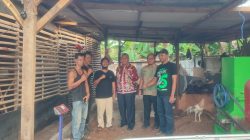Limbah Kelapa Diolah Jadi Cocopeat, Ciptakan Peluang Usaha dan Kurangi Sampah