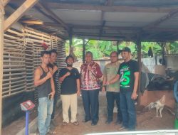 Limbah Kelapa Diolah Jadi Cocopeat, Ciptakan Peluang Usaha dan Kurangi Sampah