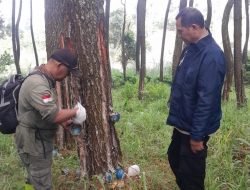Perhutani Bandung Utara dan Kepolisian Gelar Patroli Gabungan Antisipasi Karhutla dan Gangguan Keamanan Hutan