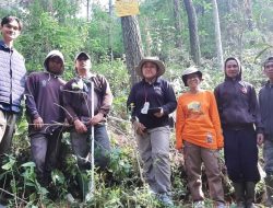 Perhutani Bersama BPKH Lakukan Inventarisasi di Wilayah Hutan Ujung Berung