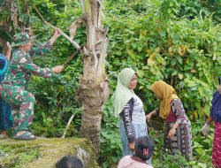 Ibu-ibu PKK Desa Polewali Antusias Kerja Bakti Bersama Satgas TMMD Ke-129