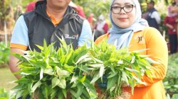 Munjirin Pimpin Panen Serentak di 191 Titik, Urban Farming Jaktim Hasilkan 1,1 Ton Jagung dan Sayuran