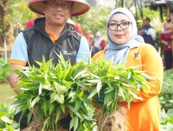 Munjirin Pimpin Panen Serentak di 191 Titik, Urban Farming Jaktim Hasilkan 1,1 Ton Jagung dan Sayuran
