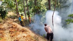 Lahan Perhutani di Karanggayam Kebumen Terbakar, Api Dipadamkan Manual