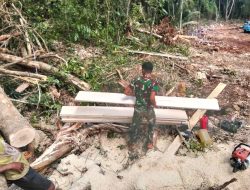Satgas TMMD Bersama Masyarakat Ambil Material Papan untuk Pekerjaan RTLH