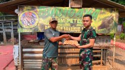 Tingkatkan Kesejahteraan Prajurit, Yonarhanud 10/ABC Bagikan Hasil Budi Daya Ayam Bertelur
