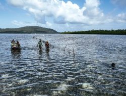 Air Bersih Lintas Laut, Satgas TMMD Hadirkan Solusi untuk Masyarakat Kepulauan Umbele