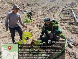 Sektor 5 Subsektor 3 Cisarua Satgas Citarum Harum Laksanakan Penanaman Pohon di Lahan Pascalongsor dan Perkuat Edukasi Kepedulian Lingkungan
