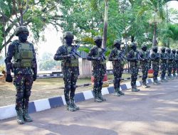 67 Tahun Pelopor Mengabdi, Dankorbrimob Polri Tegaskan Komitmen Hadir untuk Masyarakat