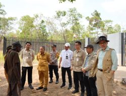 Kunjungi Perbatasan RI–PNG, KSP Siap Kawal Pembangunan Kawasan dan Efektivitas Pos Lintas Batas Negara