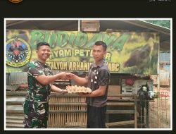 Batalyon Arhanud 10/ABC Kembangkan Urban Farming Ayam Petelur, Hasilnya Dibagikan kepada Prajurit