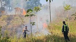 Api Berkobar di Pinggir Tol Km 103, Kasat Lantas Polres Cimahi Turun Langsung Pimpin Pemadaman