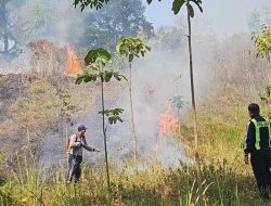 Api Berkobar di Pinggir Tol Km 103, Kasat Lantas Polres Cimahi Turun Langsung Pimpin Pemadaman