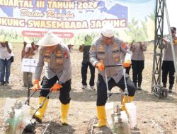 Polda Jabar Bantu Petani Indramayu Hadapi Kemarau Lewat Budidaya Jagung