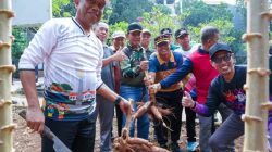 Munjirin Panen Singkong dan Petai Bersama Warga Cipinang Melayu, Dukung Ketahanan Pangan