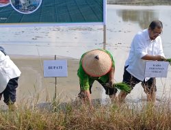 Dukung Kesejahteraan Petani, Kinerja Dinas Pertanian Sergai di Bawah Dedi Iskandar Tuai Apresiasi